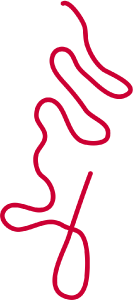 ラプラーニュスケルトンコース