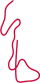 パークシティスケルトンコース