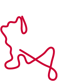 シグルダスケルトンコース